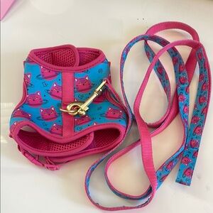 Pink and Blue Butterfly Cat Harness and Leash Set